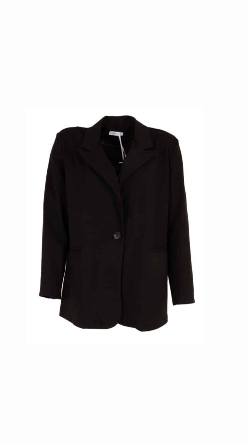 Blazer knoop azzurro blazers -Label-L 1