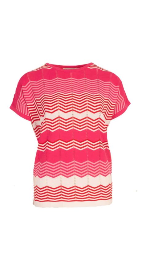 Top Lyla zig zag roze azzurro tops Label-L